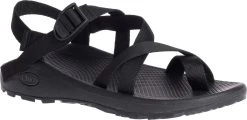 Chaco Z/Cloud 2 Sandals - Men's -Shoes Specialty Shop image 1319