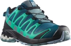 Salomon XA Pro 3D V8 Gore-Tex Trail Running Shoes - Women's -Shoes Specialty Shop image 520
